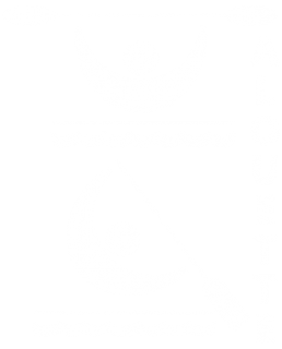 logo-alouette-paddling-club